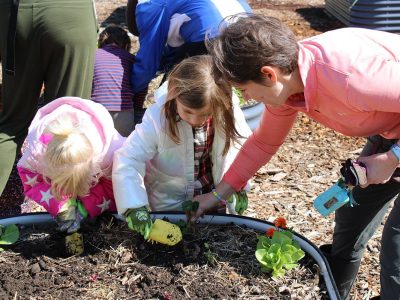Temple Shalom’s Justice Garden blossoms