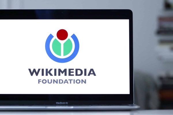 Wikimedia board hopeful said Oct. 7 rapes ‘fake news,’ accused Israel of ‘hundreds of genocides’