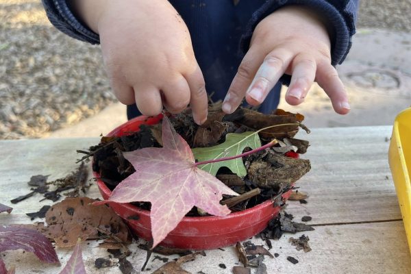 Temple Shalom ECC to open, grow young learners