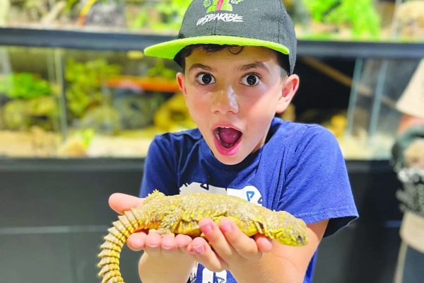 Meet the Jr. Ranger with a heart for Israel